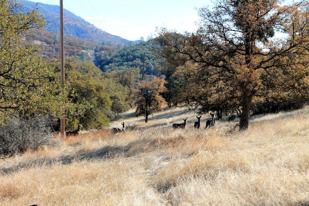 Yosemite Gold Country Lodge คอลเทอร์วิลล์ ภายนอก รูปภาพ