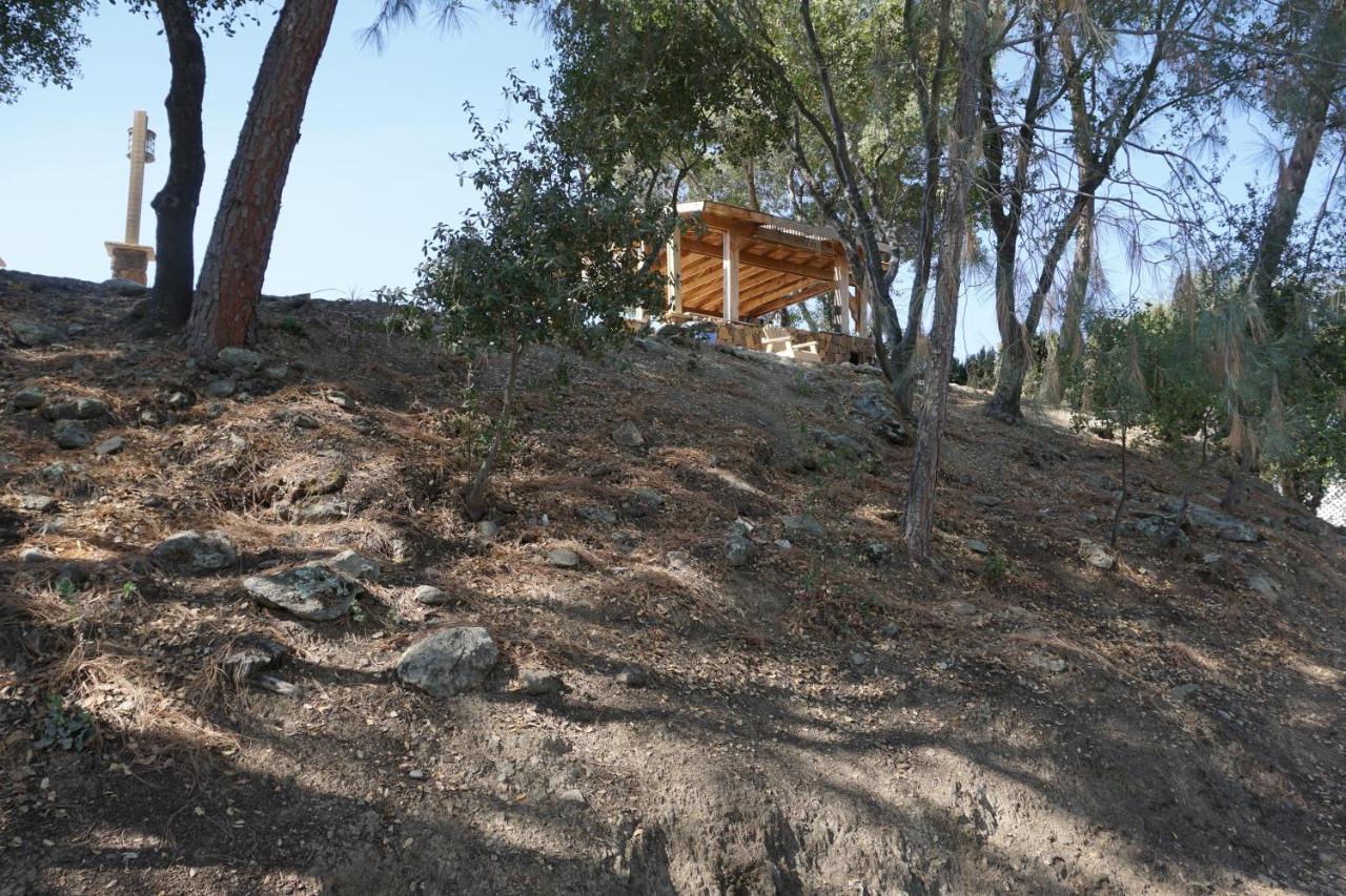 Yosemite Gold Country Lodge คอลเทอร์วิลล์ ภายนอก รูปภาพ